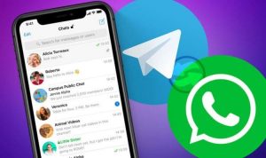 How to transfer whatsapp message to telegram